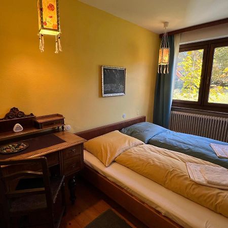 Haus Im Gruenen Apartment Saalfelden Ngoại thất bức ảnh