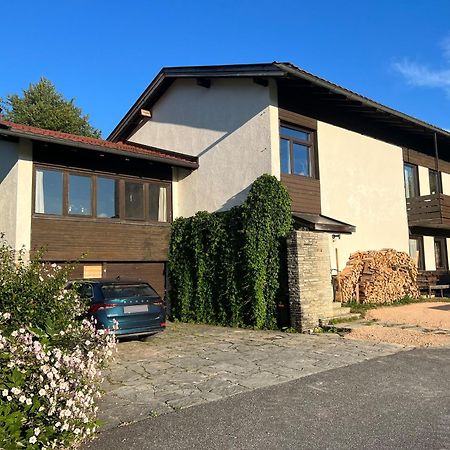 Haus Im Gruenen Apartment Saalfelden Ngoại thất bức ảnh