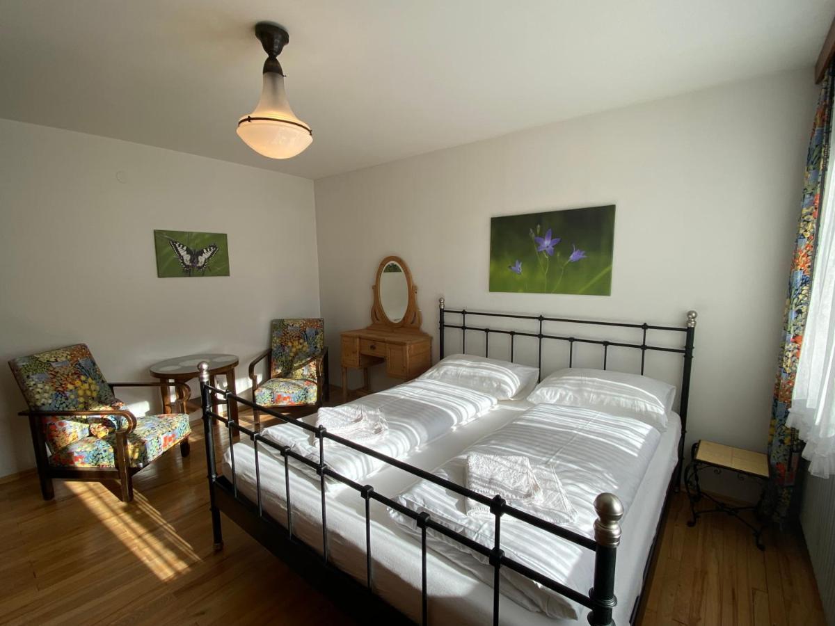 Haus Im Gruenen Apartment Saalfelden Ngoại thất bức ảnh