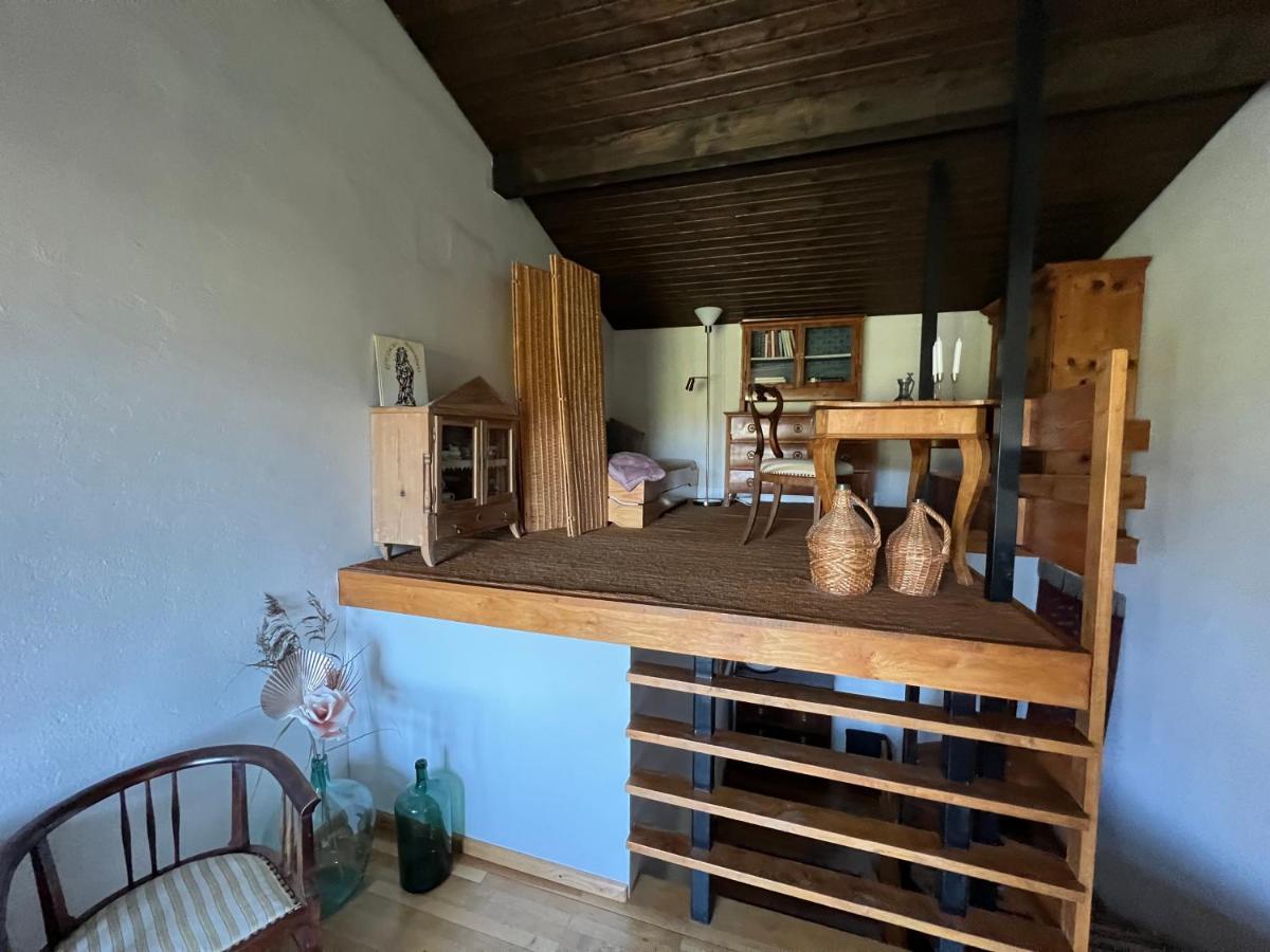 Haus Im Gruenen Apartment Saalfelden Ngoại thất bức ảnh